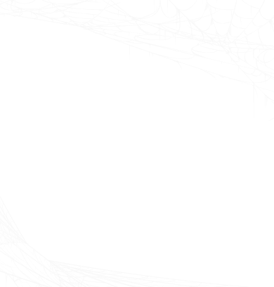Spider web